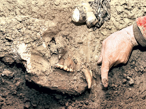 Киевские школьники откопали зверя, которому 300 тысяч лет