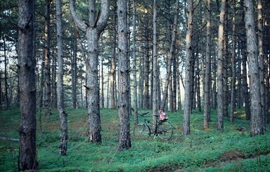 Студентка из Запорожья выиграла фотоконкурс ООН о лесах 