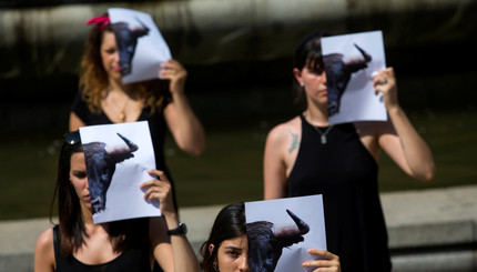 Активисты по защите прав животных протестуют против корриды в Мадриде