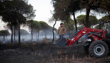 Мужчина едет на тракторе во время лесных пожаров