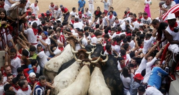 В Испании быки во время забегов забодали не менее 21-го человека