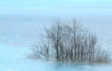 На Донетчине появилось аномальное ярко-голубое озеро: жители в панике