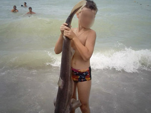 Пляжники фотографировались с выброшенной на берег акулой, пока та не умерла