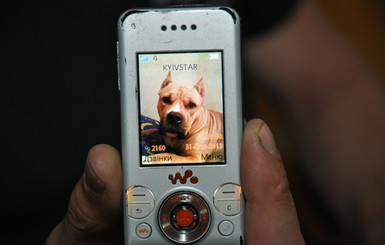 На Тернопольских милиционеров натравили бойцовского пса: пришлось отстреливаться