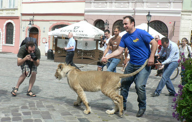 В центре Львова опять выгуливали льва Папы Римского