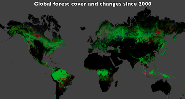 Ученые: через 58 лет на Земле не останется лесов