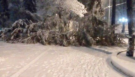 Снегопад во Львове