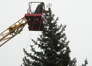 Жительница Одесской области подарила городу полувековую новогоднюю елку
