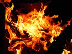 В Черниговской области на пожаре погибла мать с сыном