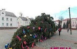 В Борисполе штормовой ветер сломал городскую елку