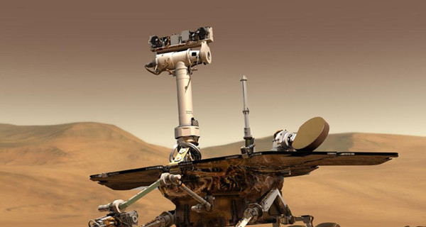 Марсоход Opportunity сфотографировал плодовое тело инопланетянина?!