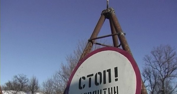 Чумные кабаны из России заразили домашних украинских хрюшек 
