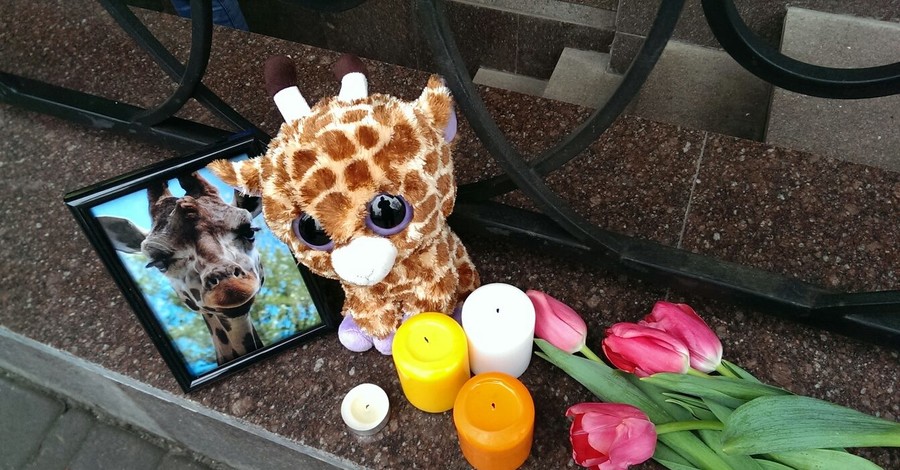 Киевляне подложили жирафа под посольство Дании