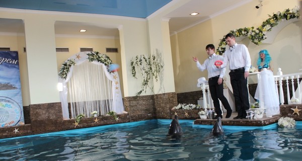В Ялте поженили дельфинов