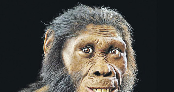 Дарвин оказался прав: предки людей были похожи на приматов