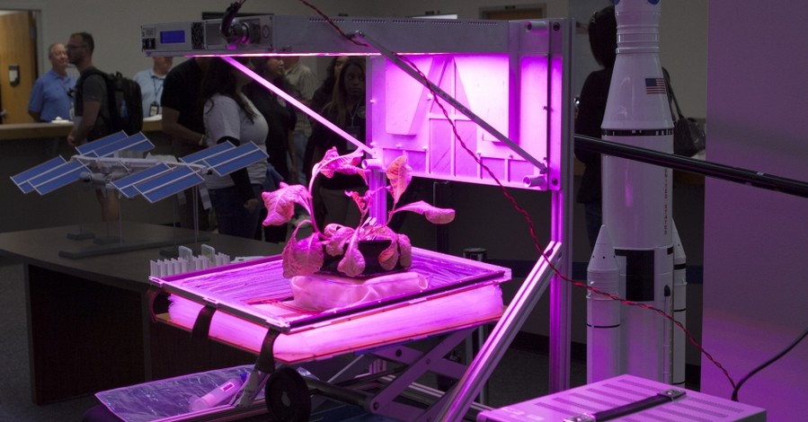 Астронавты МКС впервые в истории займутся выращиванием овощей