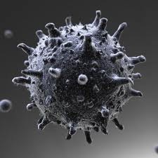 Ученые потеряли 2300 пробирок со смертельным вирусом