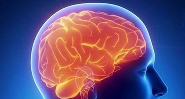 Ученым удалось создать выключатель мозга