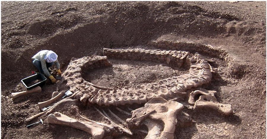 В Аргентине нашли останки самого крупного в истории динозавра