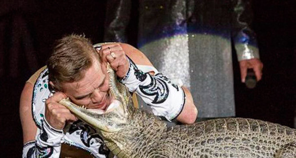 В России на циркового крокодила упала 120-килограммовая женщина