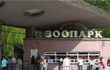 В киевском зоопарке родилась мартышка