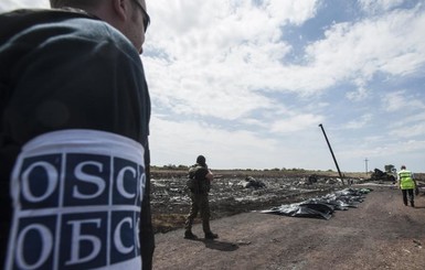 В ОБСЕ рассказали, что проводили видеоконференции с ДНР по вопросам крушения 