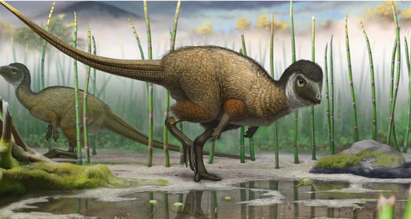 Ученые пришли к выводу, что динозавры были больше похожи на птиц, чем на рептилий