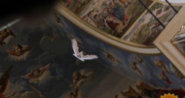 Символ мира: в Лавру перед молебном Онуфрия залетел белый голубь