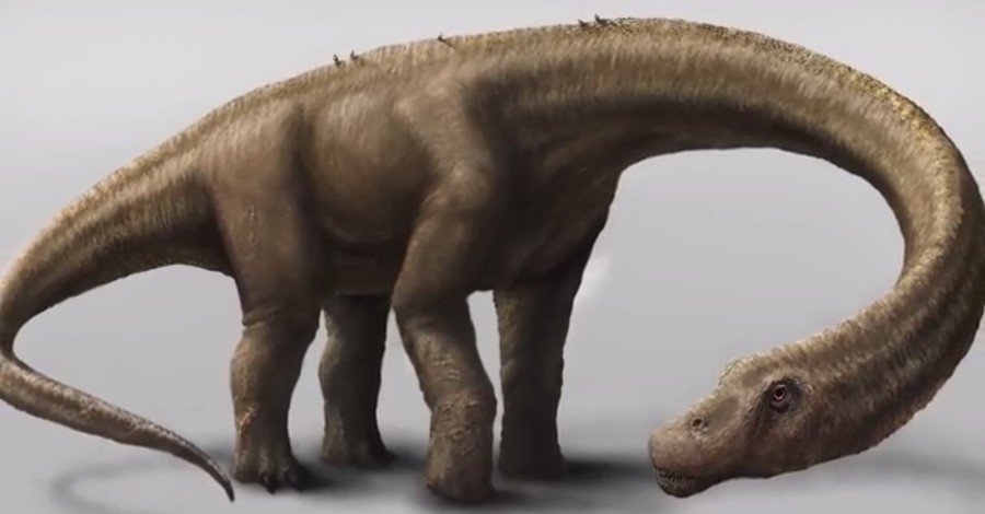 Восстановлены останки гигантского динозавра весом 65 тонн