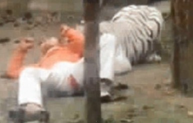 В Индийском зоопарке белый тигр разорвал мальчика