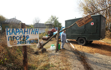 В 100 км от Киева ЧП: вспышка африканской чумы, 1300 человек в изоляции