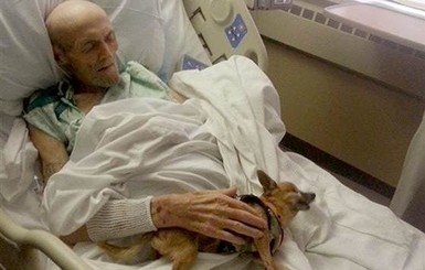 Старик и Бубба: тяжело больного дедушку воскресила встреча с любимцем