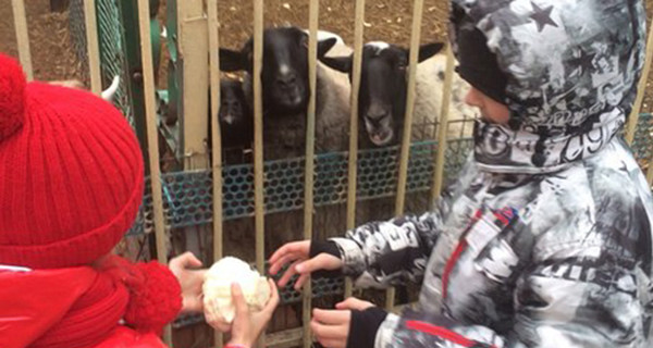 В Луганске местные жители помогают зоопарку печеньем с паштетом
