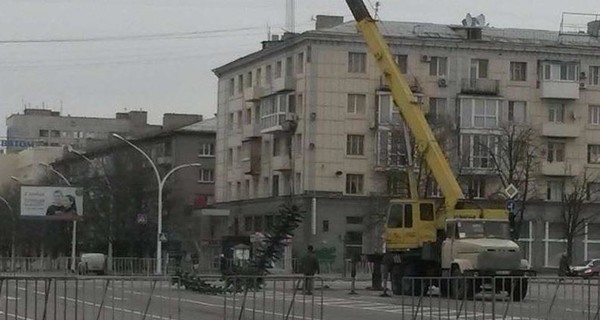 В Луганске начали устанавливать новогоднюю елку