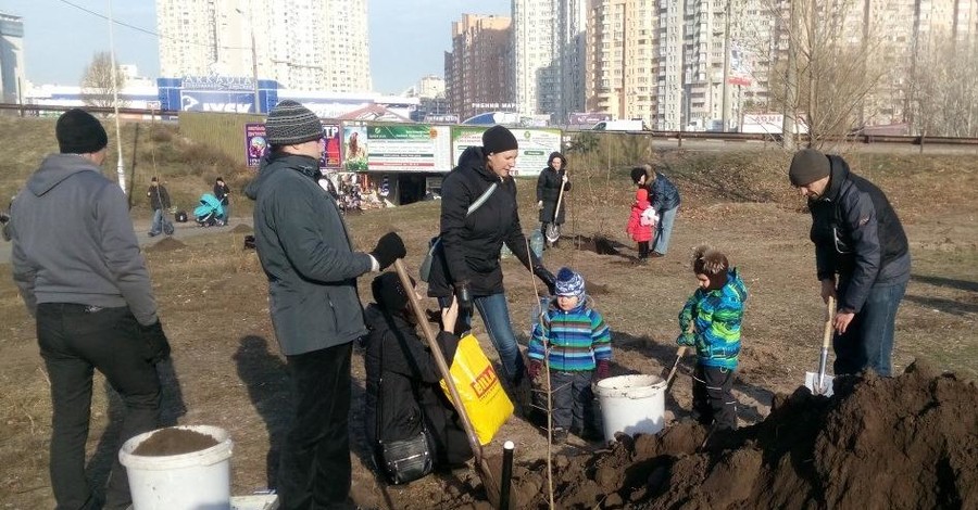 В Киеве на месте скандальной стройки высадили деревья