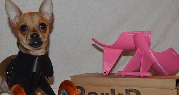 На 3D-принтерах печатают протезы клювов и лап для животных-инвалидов