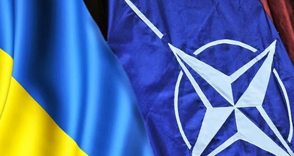 Депутат Европарламента Брок: Украину в НАТО не ждут