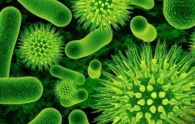 К 2050 году бактерии будут убивать больше людей, чем рак