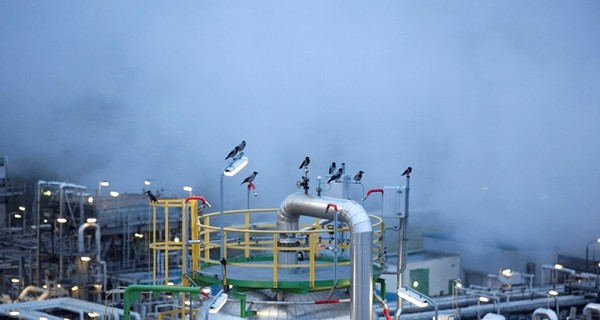 Отмена санкций против Ирана может обрушить цены на нефть