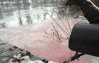 В Киевской области в реку слили опасные химикаты
