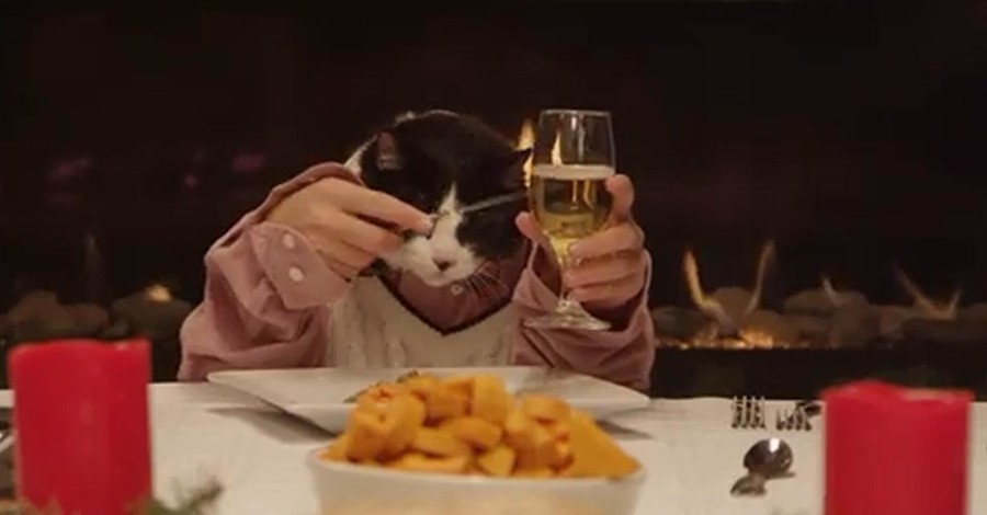 В канун Нового года пользователей интернета покорили 13 собак и 1 кот