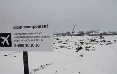 Украина и Нидерланды обнародовали данные о расследовании катастрофы Боинга