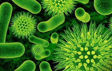 Американские ученые создали чудо-антибиотик
