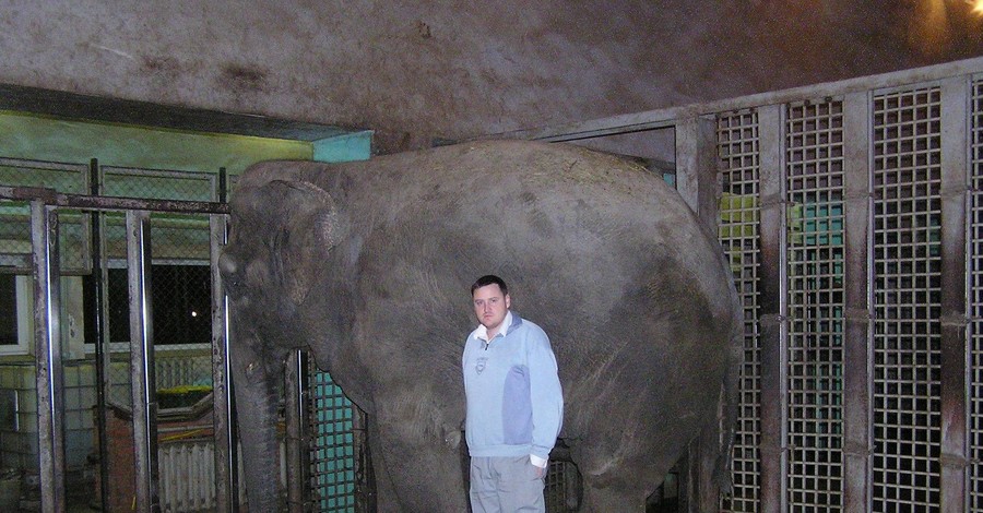 Сотрудник харьковского зоопарка, оставшийся без руки, постоянно звонит слонихе Тенди