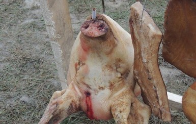 На Закарпатье фестиваль резчиков свиней завершился массовой дракой