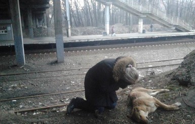 Зоозащитники: В Киеве догхантеры застрелили и пытались сжечь 29 собак