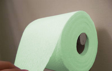 Решен спор о том, как правильно вешать рулон туалетной бумаги
