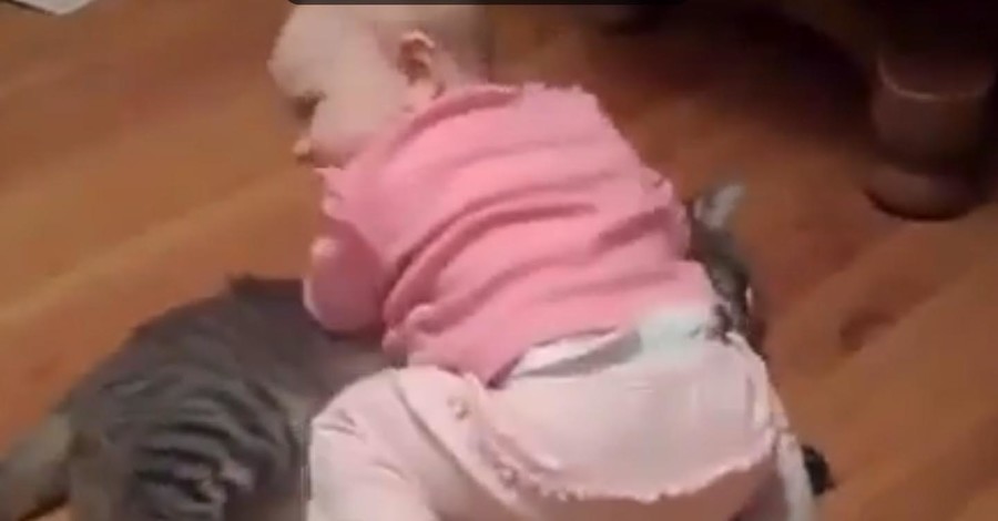 Пользователей Интернета покорили малыш и кот
