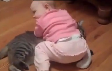 Пользователей Интернета покорили малыш и кот