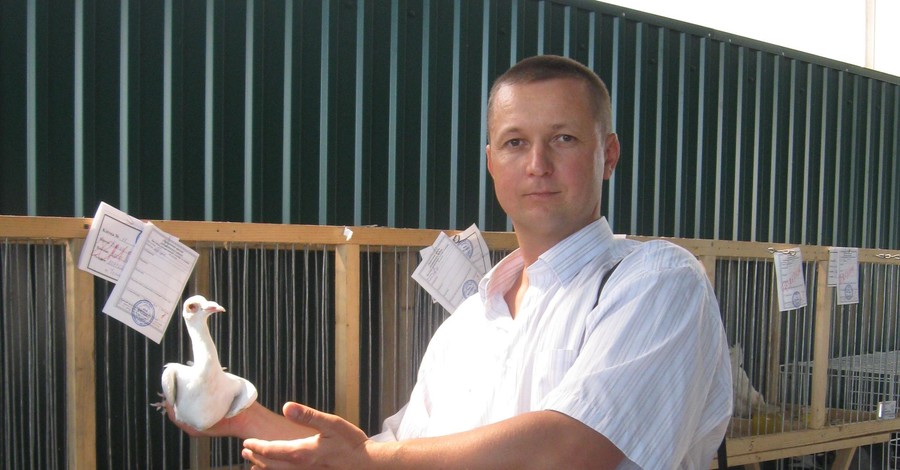 На Западной Украине открыли охоту на заводчиков голубей?